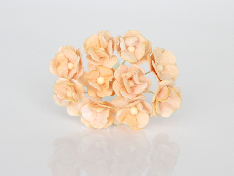 10 Pcs Mulberry Paper Flowers 1-2cm Cherry Blossoms - Soft Peach