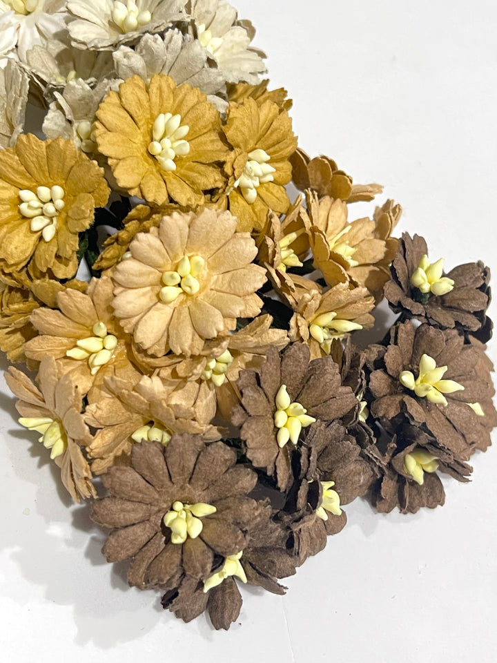 25 pcs Brown and White Mix Cosmos Daisies Mulberry Paper Flowers - 25mm