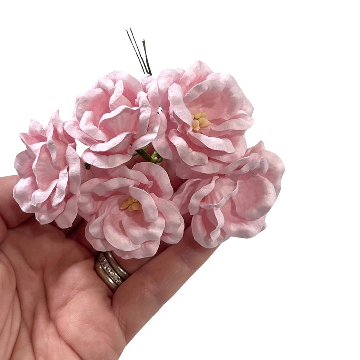 Blush Whimsy Mulberry Peony Blooms - 5cm Peonies - 25 Pack
