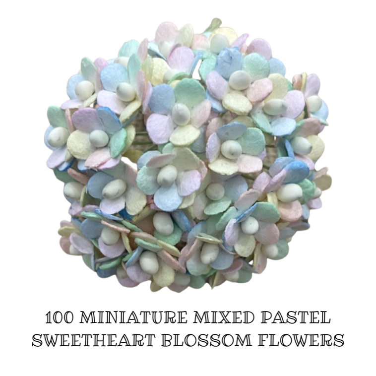 10mm Pastel Rainbow Sweetheart Mulberry Paper Blossoms - (Bulk 100 Pack of 10 colours)