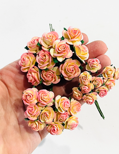 Champagne Pink 2 Tone Mulberry Paper Roses - 10mm, 15mm, 20mm