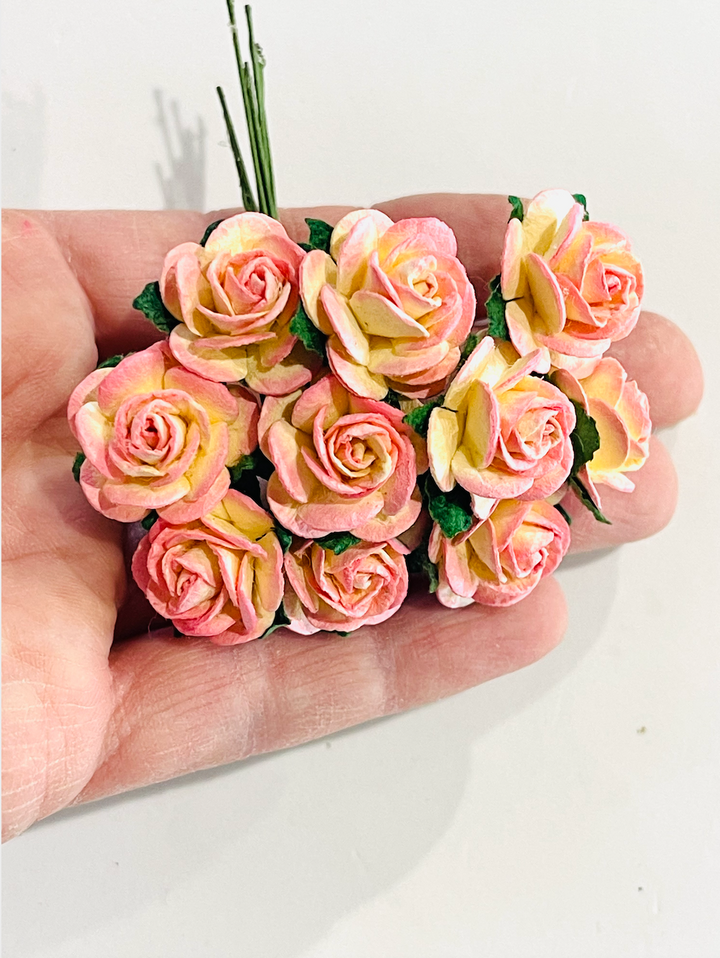 Champagne Pink 2 Tone Mulberry Paper Roses - 10mm, 15mm, 20mm