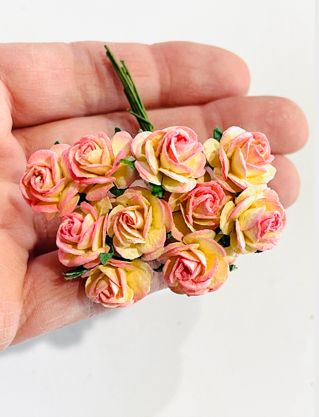 Champagne Pink 2 Tone Mulberry Paper Roses - 10mm, 15mm, 20mm