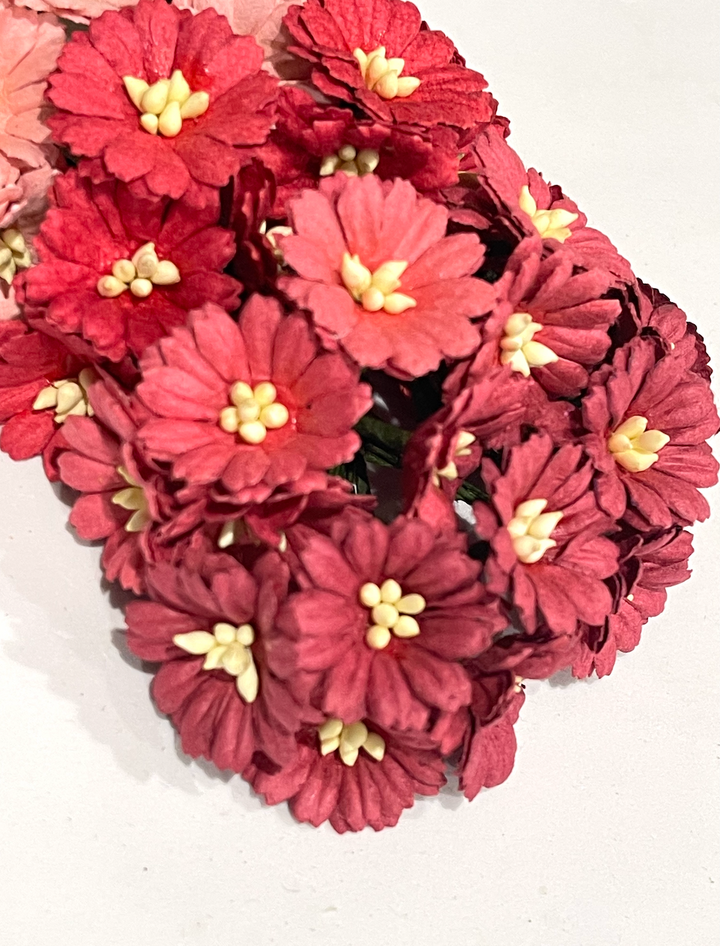 25 pcs Red and White Mix Cosmos Daisies Mulberry Paper Flowers - 25mm