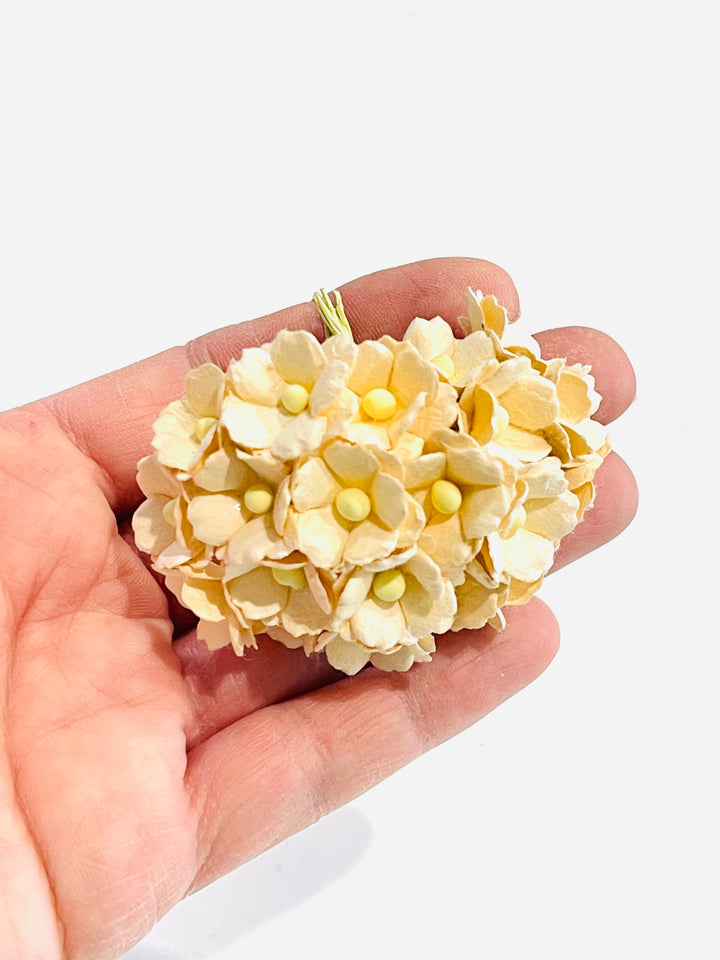 Deep Ivory Sweetheart Blossoms Mulberry Paper Flowers