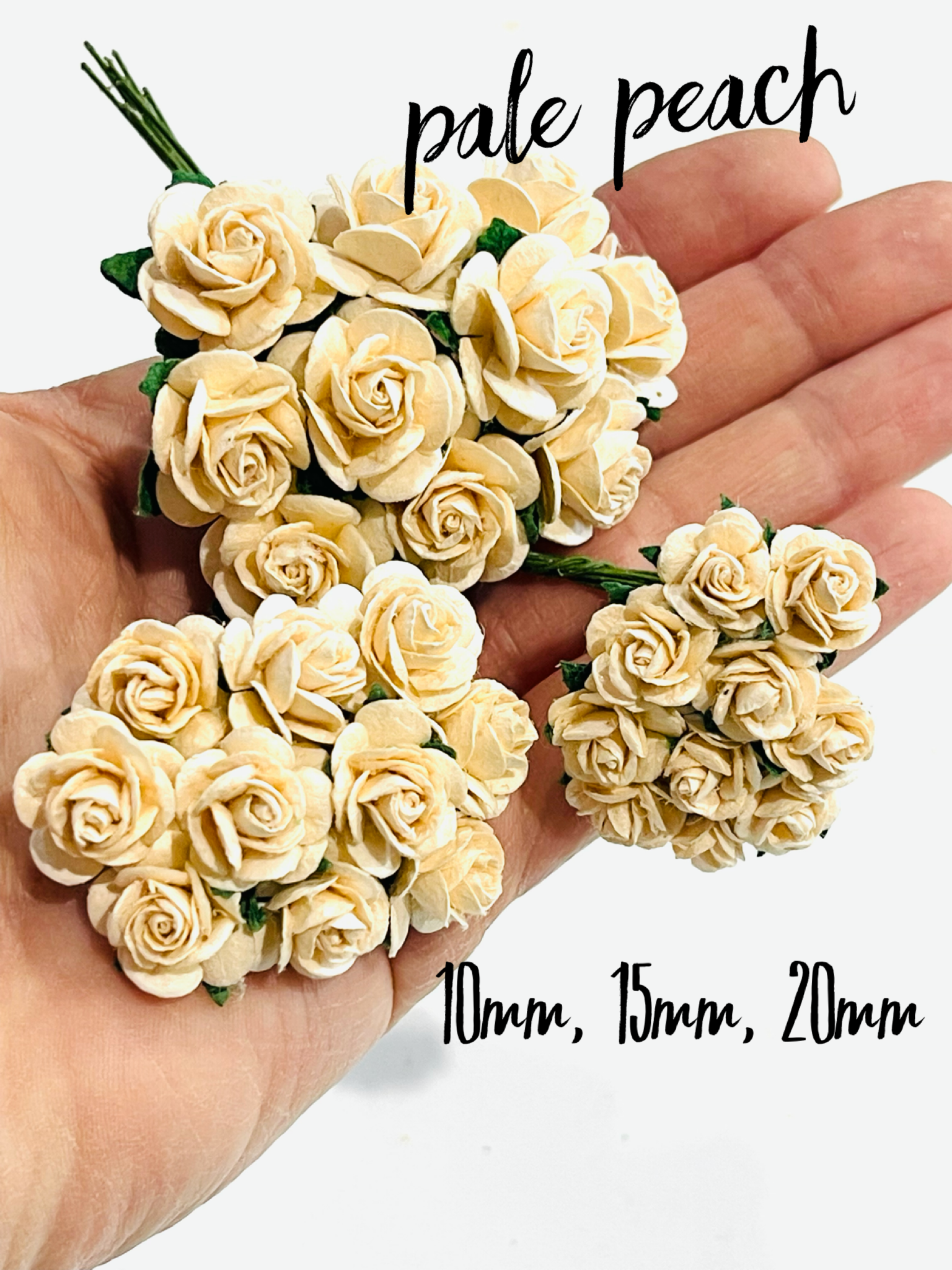 Pale Peach Mulberry Paper Roses - 10mm, 15mm, 20mm – Oliver and May